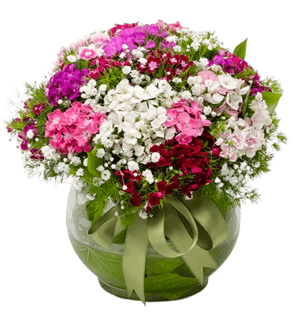 CAM FANUSTA İZMİR KARANFİLİ (HÜSNÜYUSUF ÇİÇEĞİ) ARANJMAN