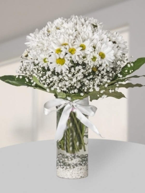 Vazoda Papatya Arajmanı 